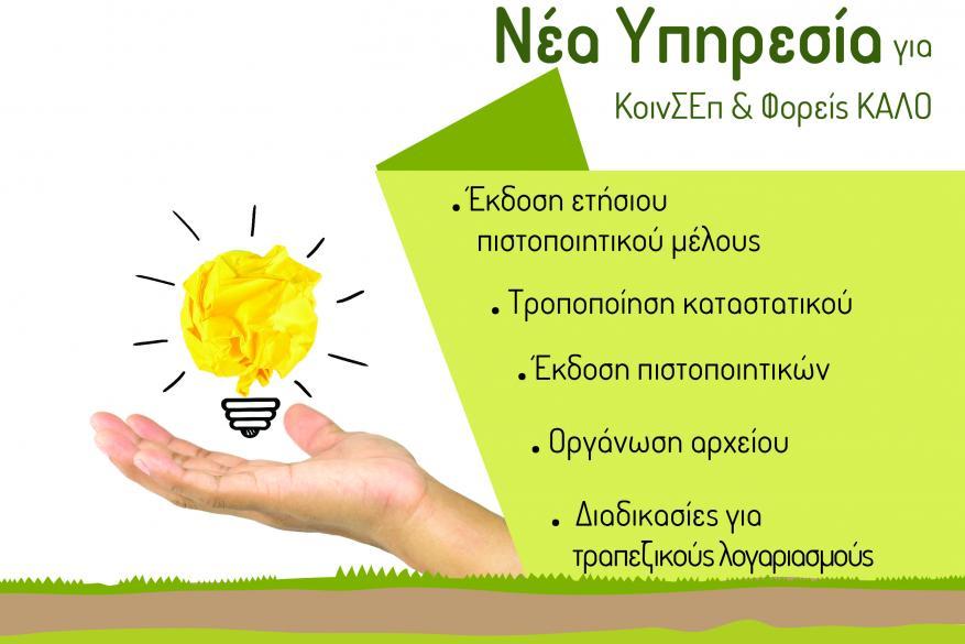 Social Economy Social Economy